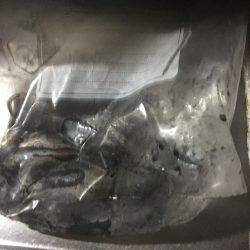 アジング、エギング