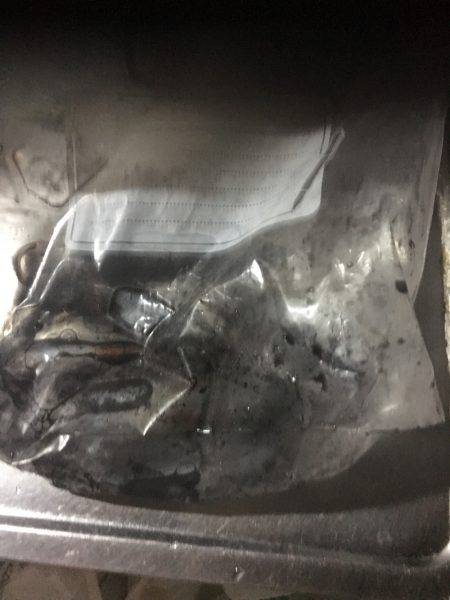 アジング、エギング