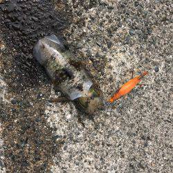 京丹後から常神までのランガンエギング