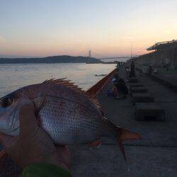 残炎惨敗からのウキスポン‼︎