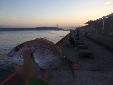 残炎惨敗からのウキスポン‼︎