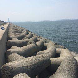 ライトショアジギング