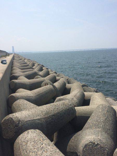 ライトショアジギング