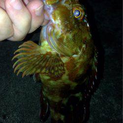 集会お開きのお知らせ