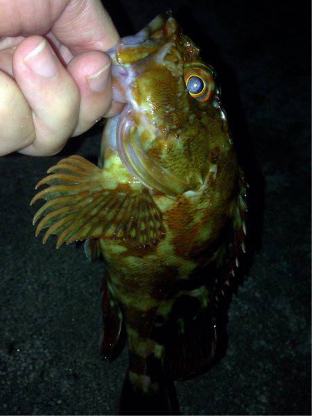 集会お開きのお知らせ