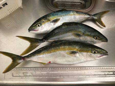 親切な方々のおかげで