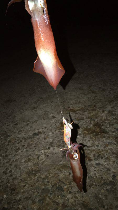 またまたダブルスッテで