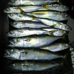 コスモスクエアにて