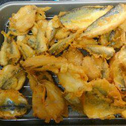 コスモスクエアサビキ釣り