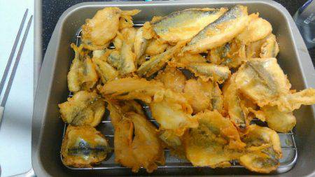 コスモスクエアサビキ釣り