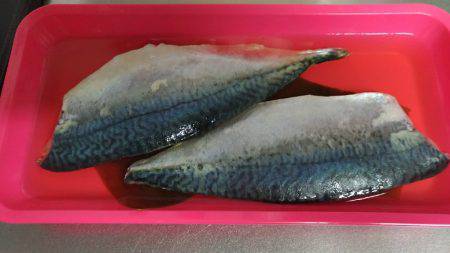 潮は小さいけど…何とかサバ確保。