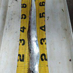 個人的夏タチ、いよいよ開幕できました！