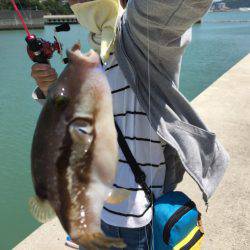 チャリコの嵐！！