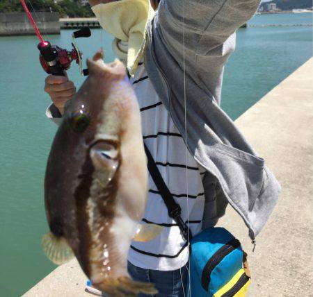 チャリコの嵐！！