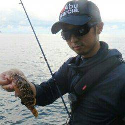 人生初アコウポンポン