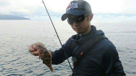 人生初アコウポンポン