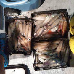 和歌山イカメタル