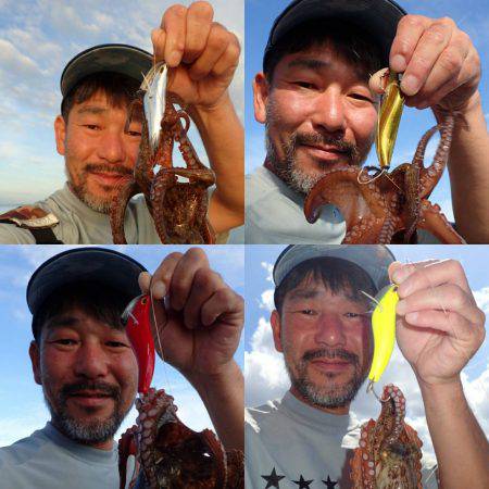 懲りずに沖堤防タコｗｗ