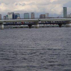 お盆明け何とかキビレ茅渟ゲット出来ました。