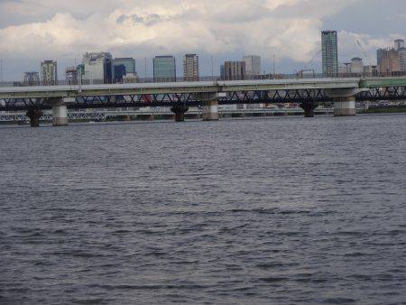 お盆明け何とかキビレ茅渟ゲット出来ました。