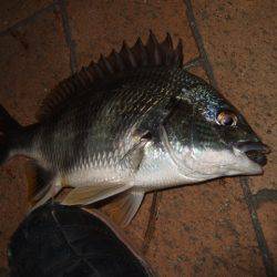 台風前に市街地で短時間チニング
