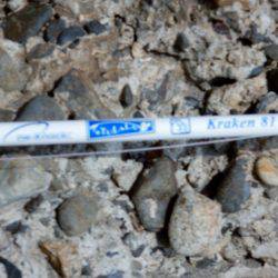 ウェーディングタコ