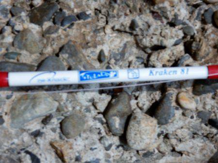 ウェーディングタコ