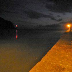 リバーシーバス