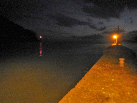 リバーシーバス