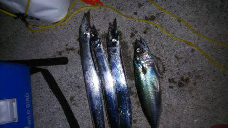 今日は当たりや！