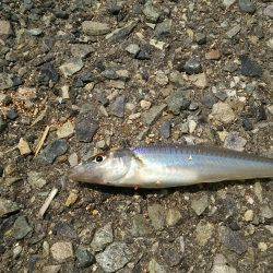 今年初キッス❤