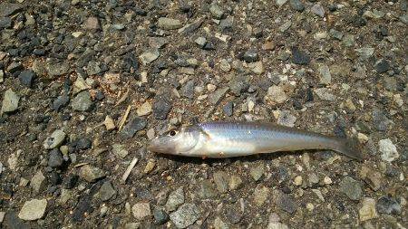 今年初キッス❤