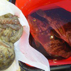 ３日連続の本命