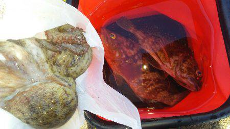 ３日連続の本命