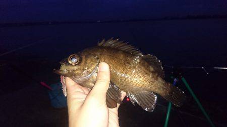 アオイソメ最強伝説