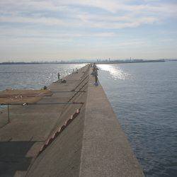 初たこチャレンジ