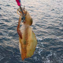 強風の中でショート