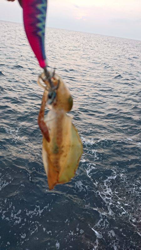 強風の中でショート