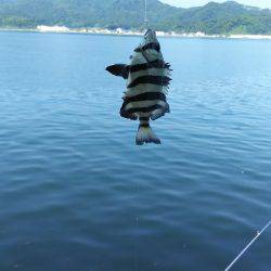香住飲ませ釣り。
