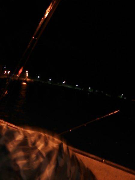 ケンサキ殲滅作戦