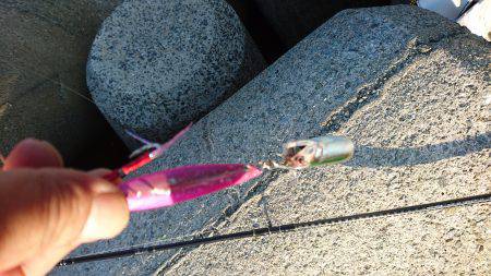 青物を求めて〜!!