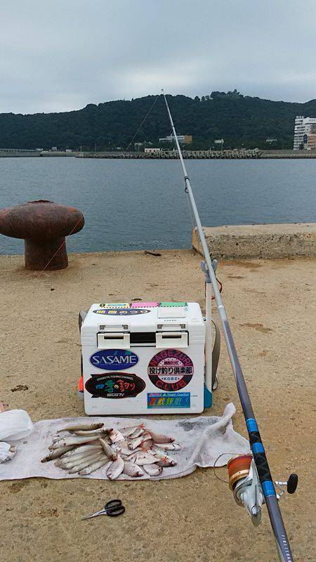 洲本砂場でキス狙い