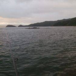 シーバス＆キス釣り