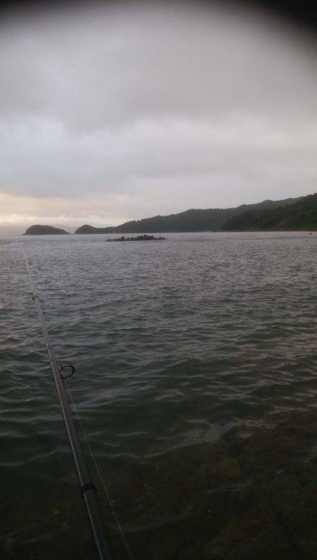 シーバス＆キス釣り