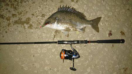 またまたキビレ…