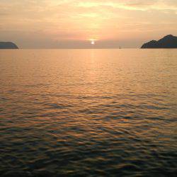 Teamゲッソー調査隊長