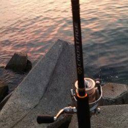 team\’ゲッソー調査部隊