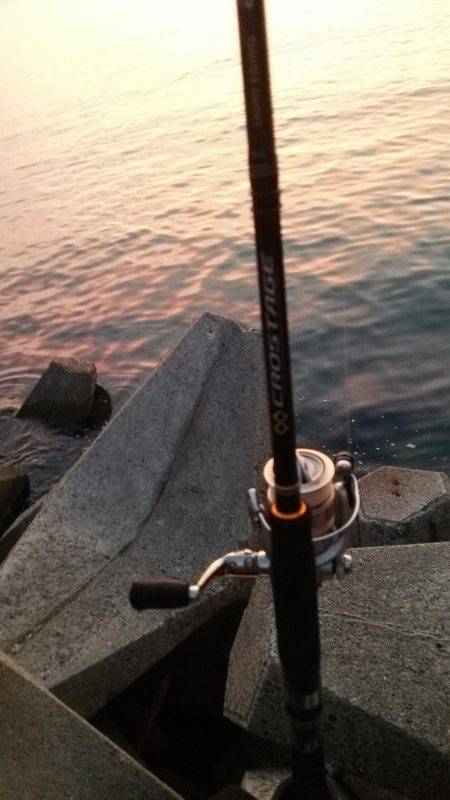 team\’ゲッソー調査部隊