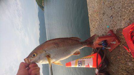かご釣り&飲ませ釣り