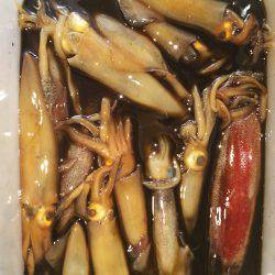 ライトエギング